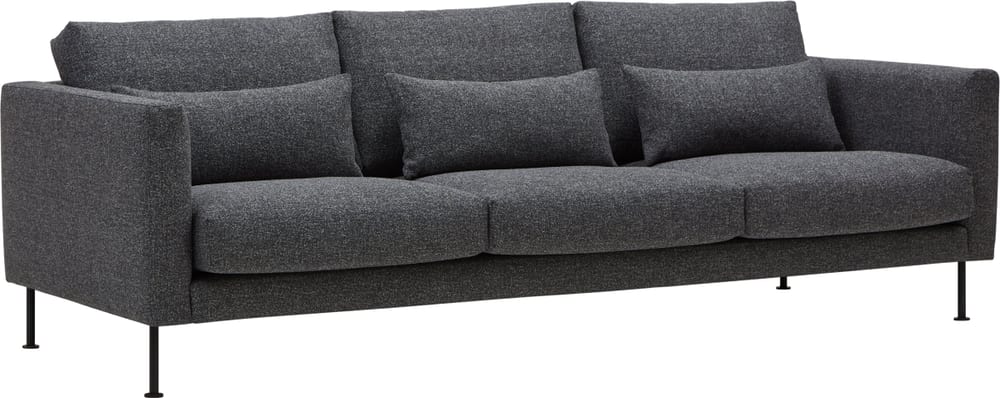 TEM 3er-Sofa 405901530384 Grösse B: 248.0 cm x T: 100.0 cm x H: 84.0 cm Farbe Anthrazit Bild Nr. 1