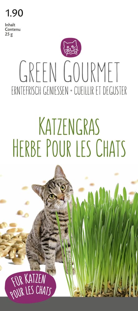Herbe pour les chats 25g Greem Gourmet Herbe a chats Do it + Garden 287102100000 Photo no. 1