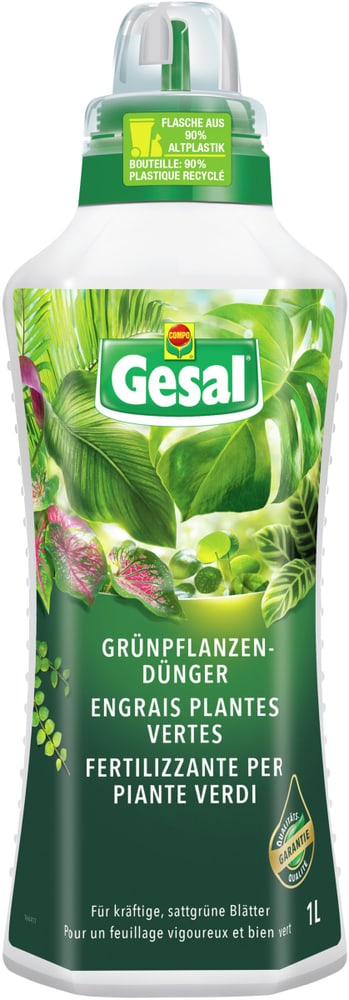 Fertilizzante per piante verdi, 1 l Fertilizzante liquido Compo Gesal 658229400000 N. figura 1