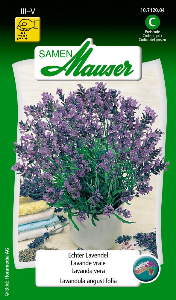Echter Lavendel Kräutersamen Samen Mauser 650112101000 Inhalt 0.5 g (ca. 30 Pflanzen oder 3 - 5 m² ) Bild Nr. 1