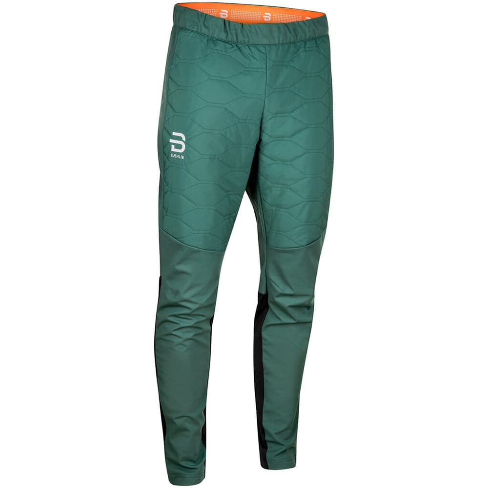 M Pants Challenge Pantaloni da sci di fondo Daehlie 498542200463 Taglie M Colore verde scuro N. figura 1