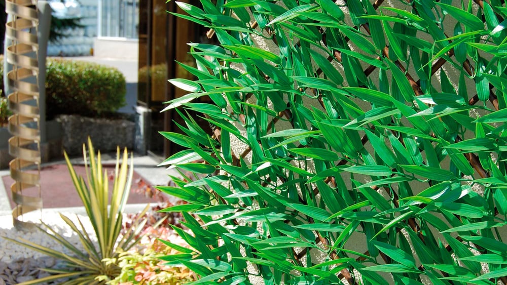 DIVY 3D X-TENS BAMBOO Siepe sintetica in foglie di bamboo Tappetino per la privacy TENAX 632302000000 N. figura 1