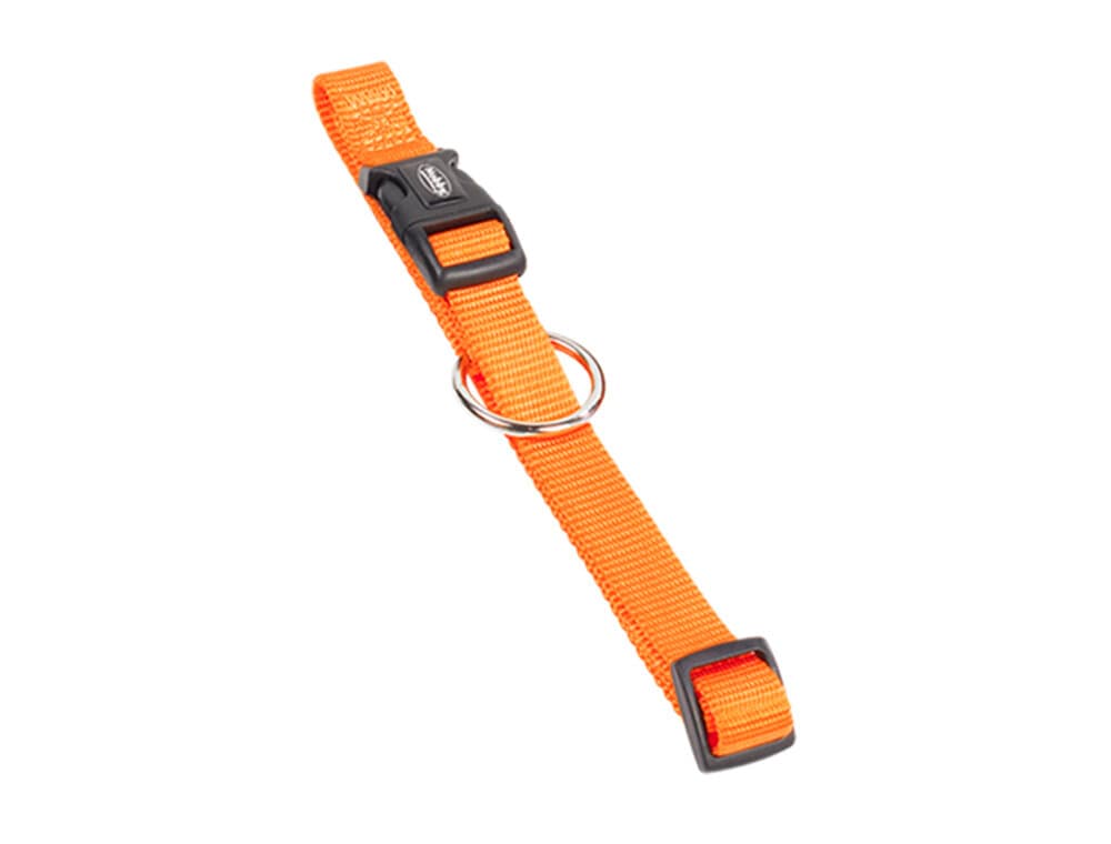 Classic orange S, 30 - 45 cm - 15 mm Collier Nobby 658268200000 Photo no. 1