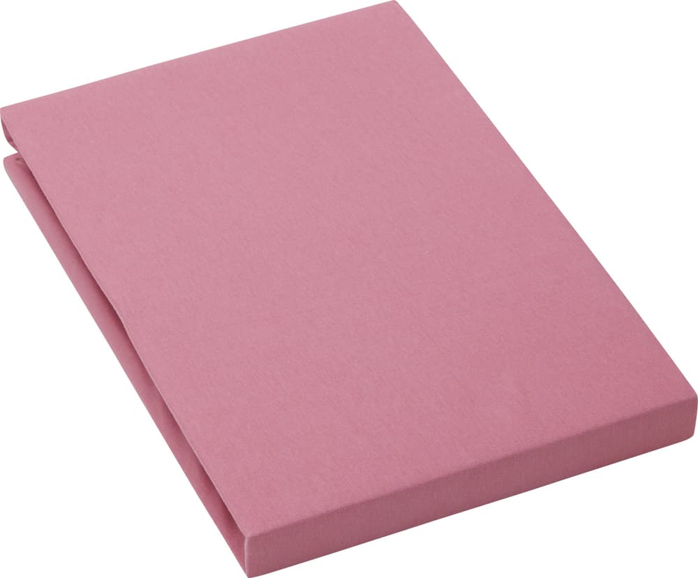 BRAN Jersey-Fixleintuch 451060030337 Farbe Pink Grösse B: 90.0 cm x H: 200.0 cm Bild Nr. 1
