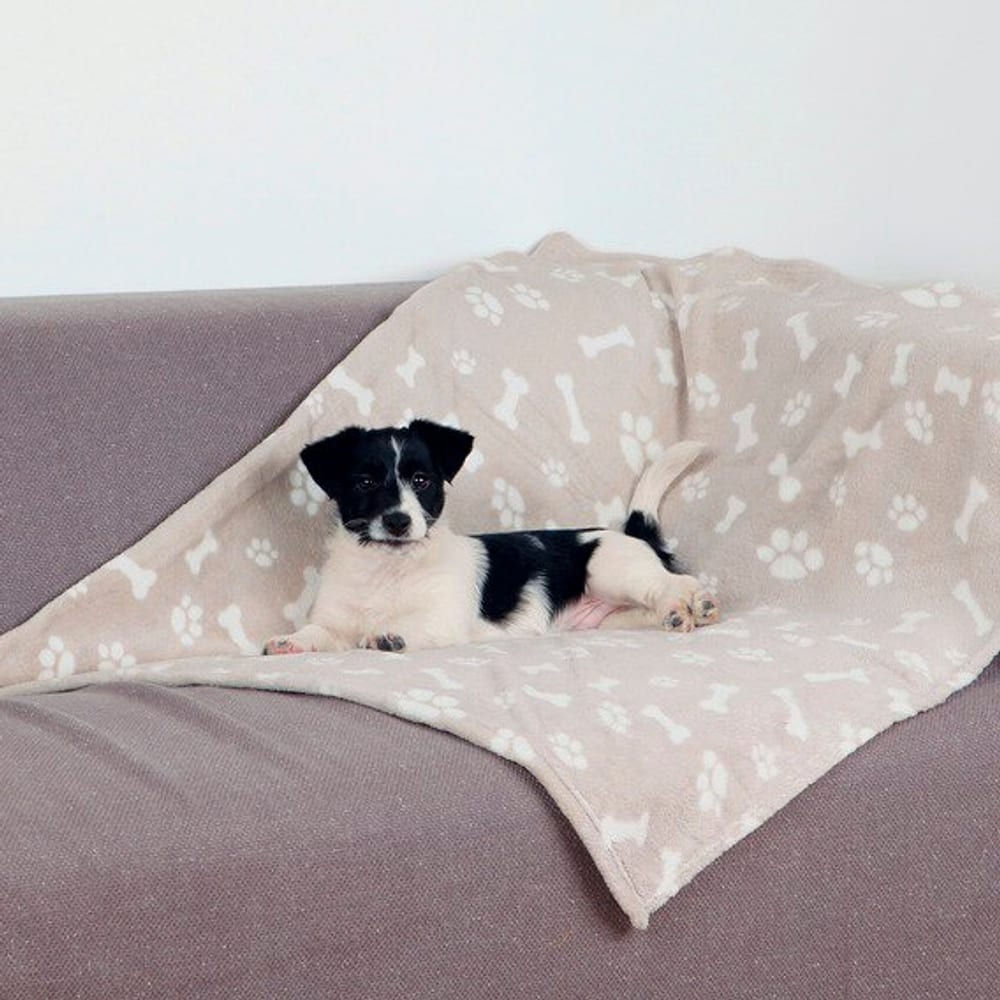 Plüschdecke Kenny beige, 100 x 150cm Hundedecke Trixie 658570100000 Bild Nr. 1