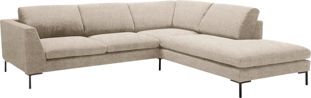 NEWTON Ecksofa NEWTON Ecksofa 405898350474 Grösse B: 262.0 cm x T: 242.0 cm x H: 80.0 cm Farbe Beige Bild Nr. 1