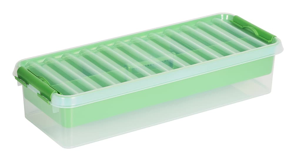 Multibox 6.5L, mit Einlage Aufbewahrungsbox mit Einsatz 603759800000 Grösse L: 485.0 mm x B: 190.0 mm x H: 105.0 mm Farbe Grün, Transparent Bild Nr. 1