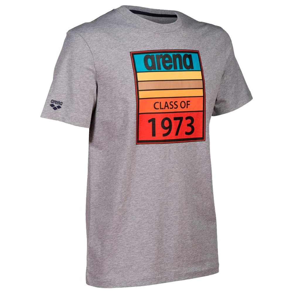 M T-Shirt Solid Cotton T-shirt Arena 468711700581 Taglie L Colore grigio chiaro N. figura 1