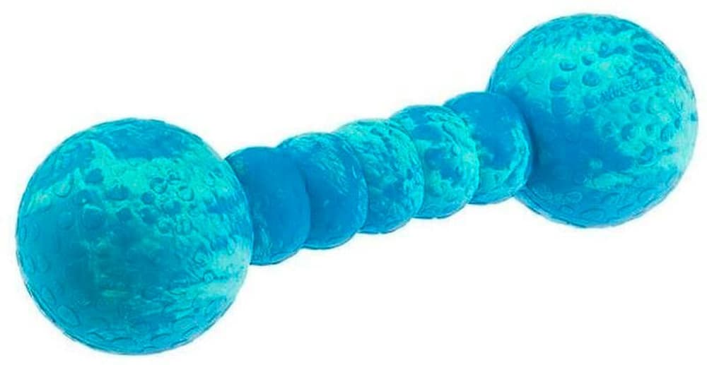 Palestra Aqua-Fun per cani, 23 Accessori per cani WOLTERS 785300193772 N. figura 1