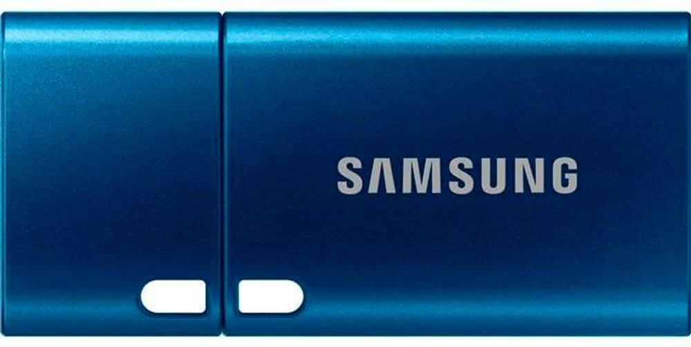 USB 3.1 Typ-C 256GB USB Stick Samsung 798334600000 Bild Nr. 1