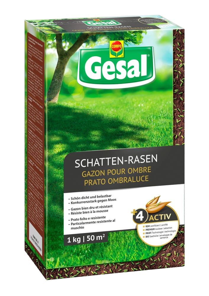 Schatten-Rasen, 1 kg Rasensamen Compo Gesal 659211500000 Bild Nr. 1