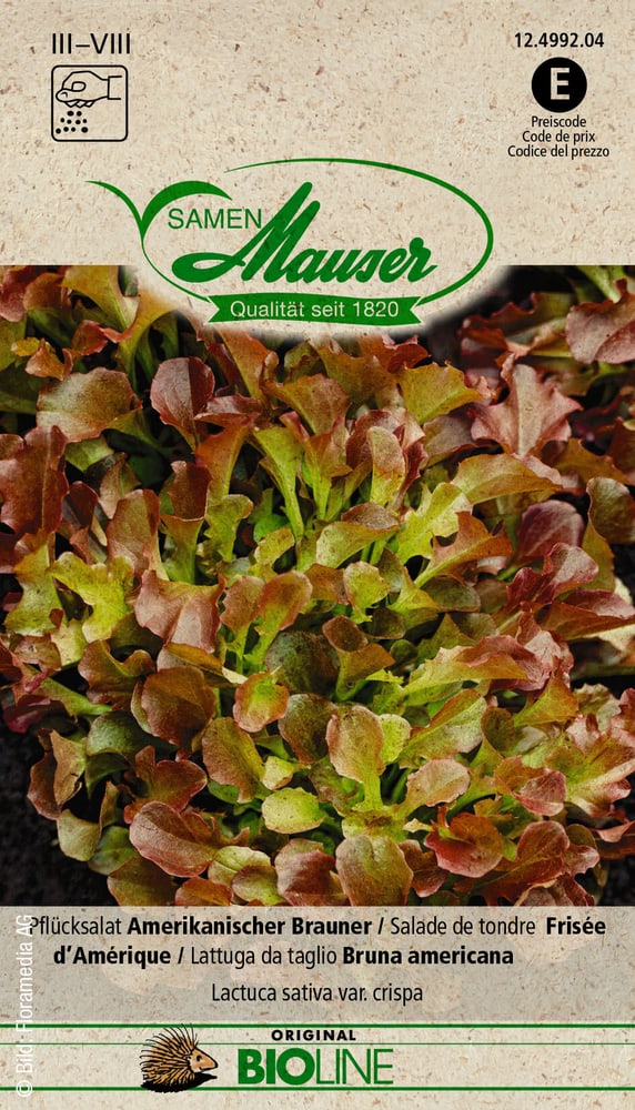 BIO Raccolta della lattuga americana Brown Sementi di verdura Samen Mauser 650281800000 N. figura 1