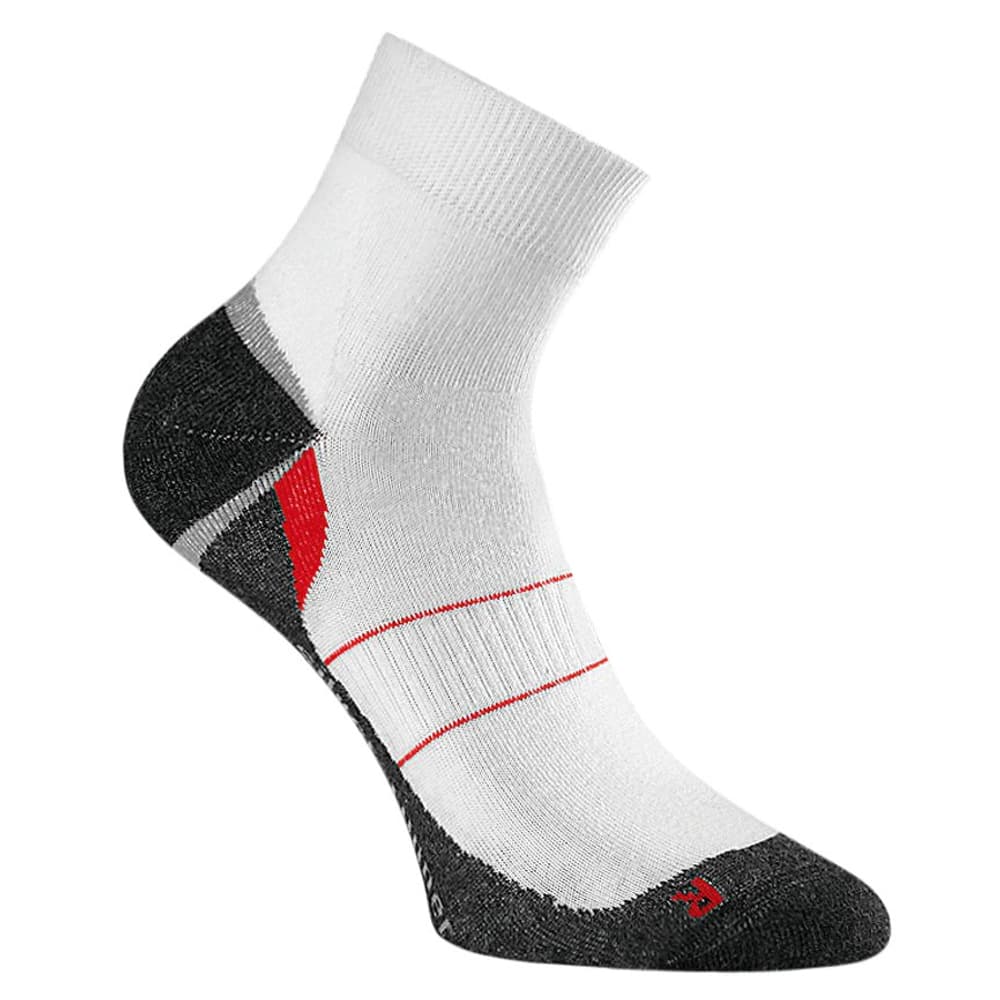 Silver Runner l/r II Chaussettes Rohner 497106500410 Taille / Couleur 44-46 - blanc Photo no. 1