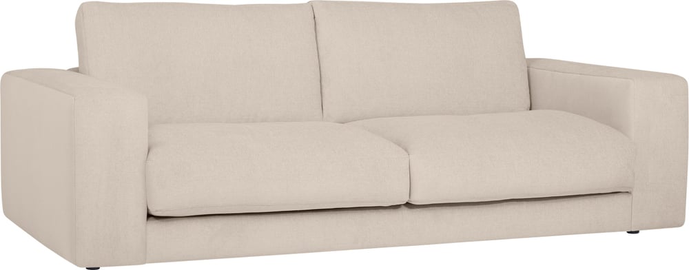 HARRISON 2er-Sofa HARRISON 2er-Sofa 405891020314 Grösse B: 230.0 cm x T: 127.0 cm x H: 85.0 cm Farbe Natur Bild Nr. 1