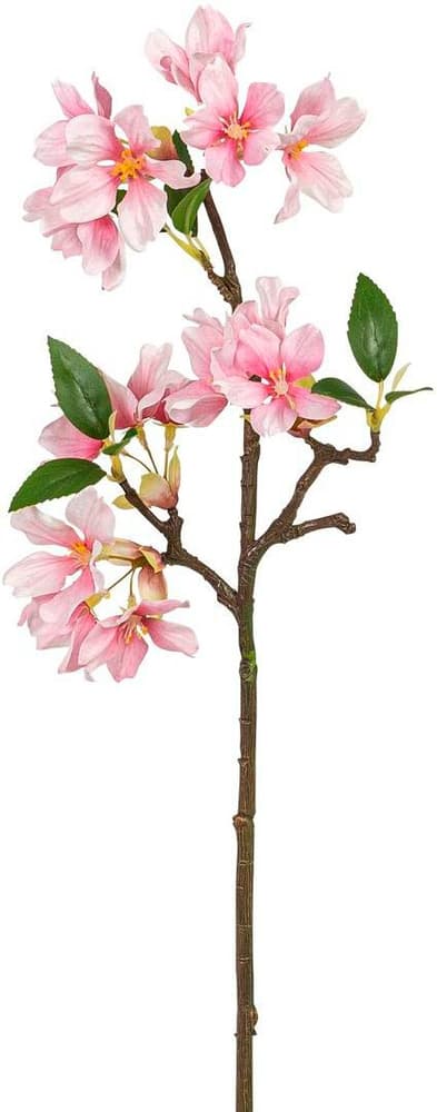 Branche de fleurs de cerisier Panneau décoratif 658078200000 Photo no. 1