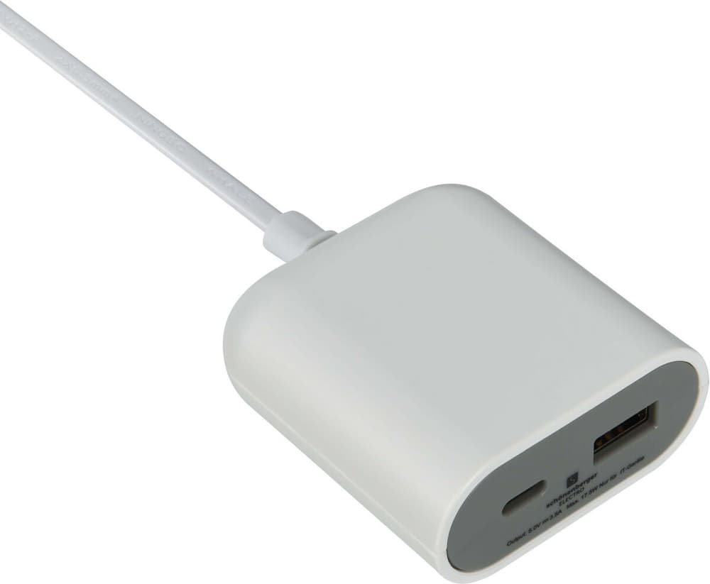 Dual USB Extension Cord (1x USB-C, 1x USB-A, cavo da 3 metri) – bianco/grigio Cavo di prolunga USB Mio Star 791050800000 N. figura 1