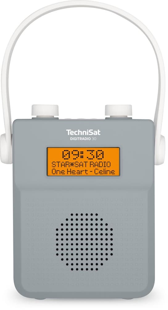 Digitradio 30 - Grigio Radio DAB+ Technisat 785300151120 N. figura 1