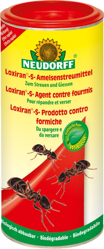 Loxiran -S- Ameisenstreumittel, 500 g Ameisenbekämpfung Neudorff 658503900000 Bild Nr. 1