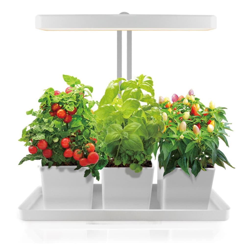 Giardino indoor 20W 45x19x47,5 cm, senza vasi Lampada per piante Colibri 669700107793 N. figura 1