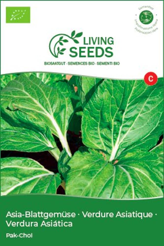Living Seeds Verdure Asiatique Pak-Choi Semences de légumes Verdure Asiatique Pak-Choi Semences de légumes Living Seeds 650274500000 Photo no. 1
