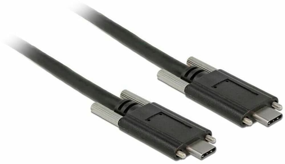 Câble USB 3.1 SuperSpeed USB C - USB C 1 m Câble USB DeLock 785302404711 Photo no. 1