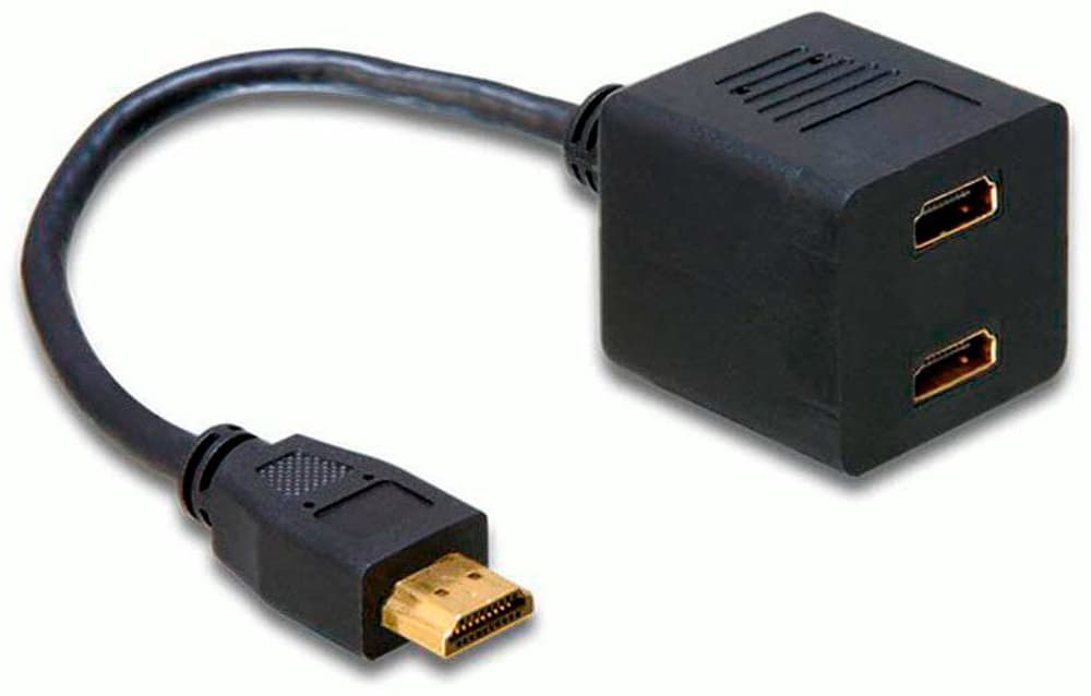 2-Port Signalsplitter HDMI - HDMI HDMI Splitter DeLock 785302423980 Bild Nr. 1
