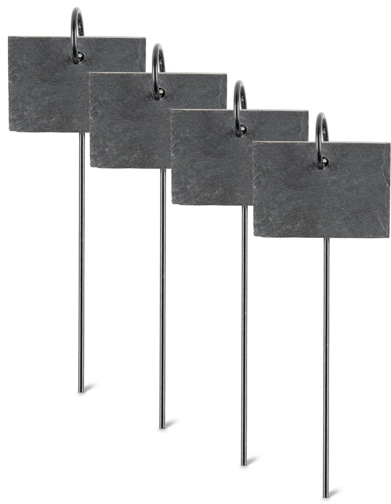 Schiefertafel Pflanzenschild kaufen bei Do it + Garden Migros