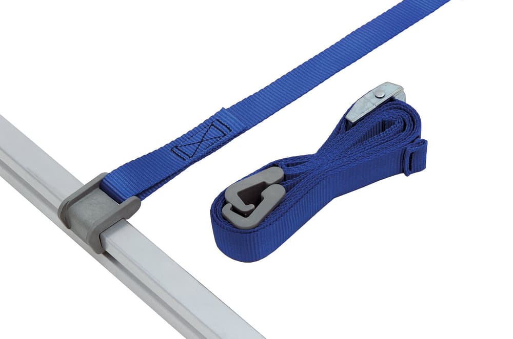 Crampons Grimpe Arbres Kotsy - 2 Vitesses + Harnais 5 Points - Pour Cueillette Et Sport - Sécurité
