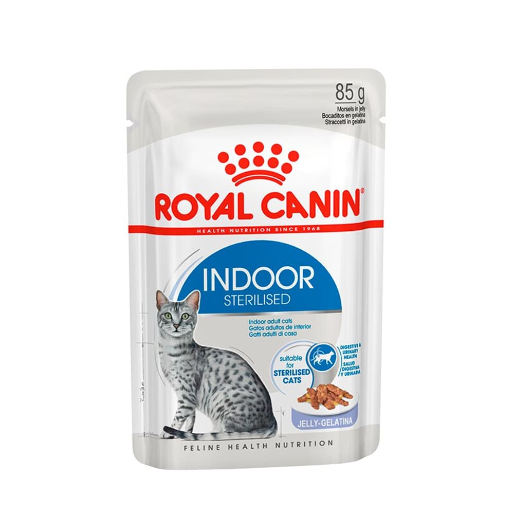 Indoor Jelly, 12x85 g Cibo umido Royal Canin 658691900000 N. figura 1