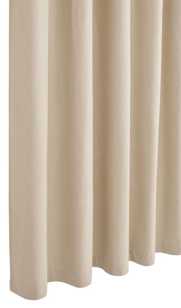 PIETRO Rideau prêt à poser opaque 430266821869 Couleur Taupe Dimensions L: 145.0 cm x H: 270.0 cm Photo no. 1