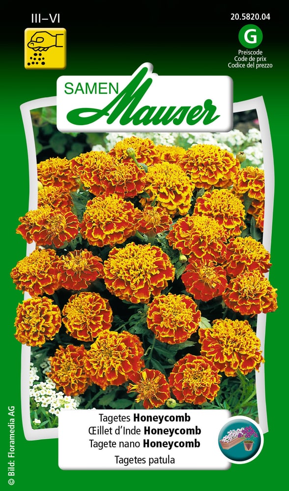Oeillet d'Inde Honeycomb Semences de fleurs Samen Mauser 650107506000 Contenu 1 g (env. 80 plantes ou 5 m²) Photo no. 1