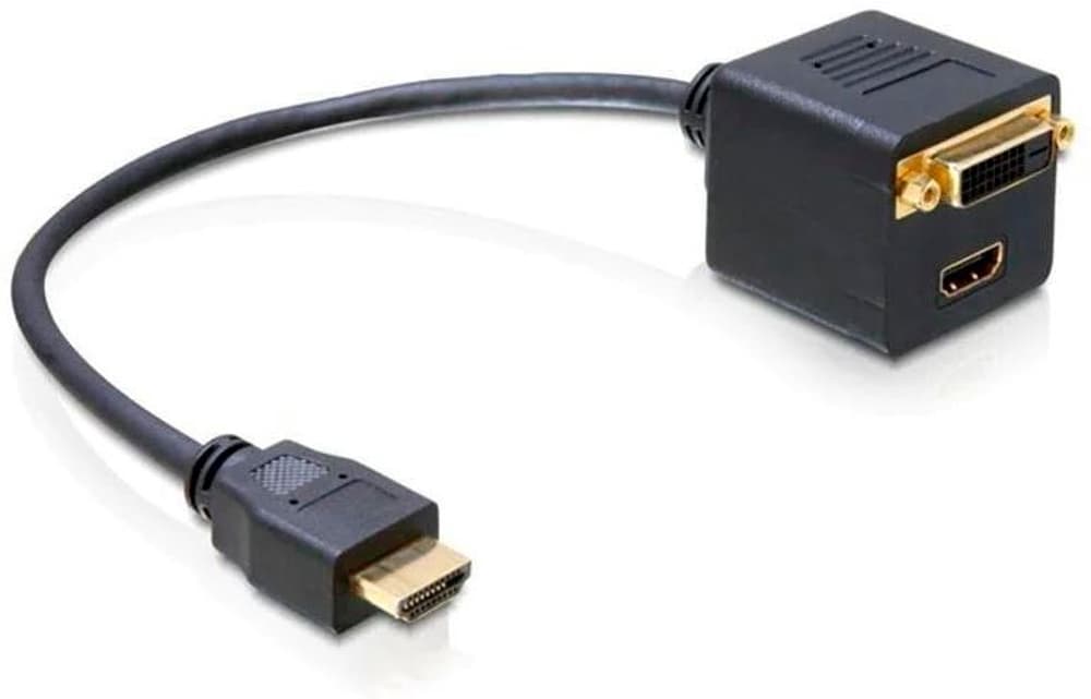 HDMI - DVI-D/HDMI Adaptateur HDMI DeLock 785300169989 Photo no. 1