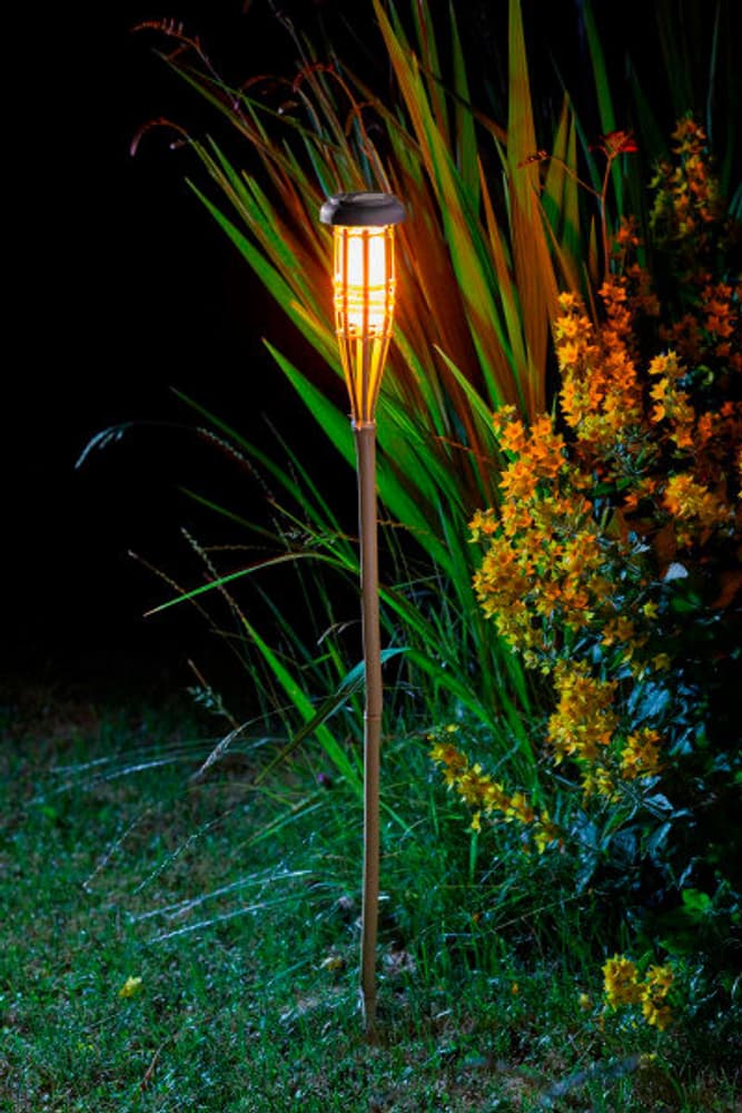 Bamboo Flaming Torch Wegleuchte Smart Garden 669700105692 Bild Nr. 1