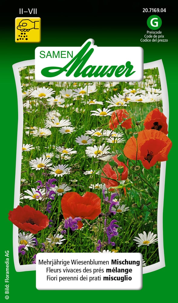 Fleurs vivaces des prés mélange Semences de fleurs Samen Mauser 650108101000 Contenu 1 g (env. 60 plantes ou 4 - 5 m²) Photo no. 1