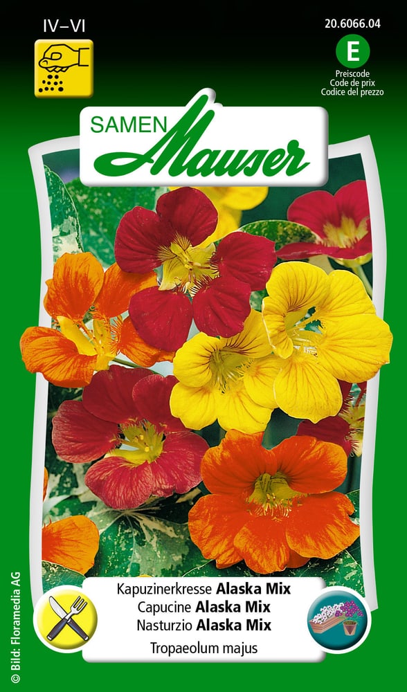 Capucines Alaska mix Semences de fleurs Samen Mauser 650107801000 Contenu 5 g (env. 25 plantes ou 3 m²) Photo no. 1