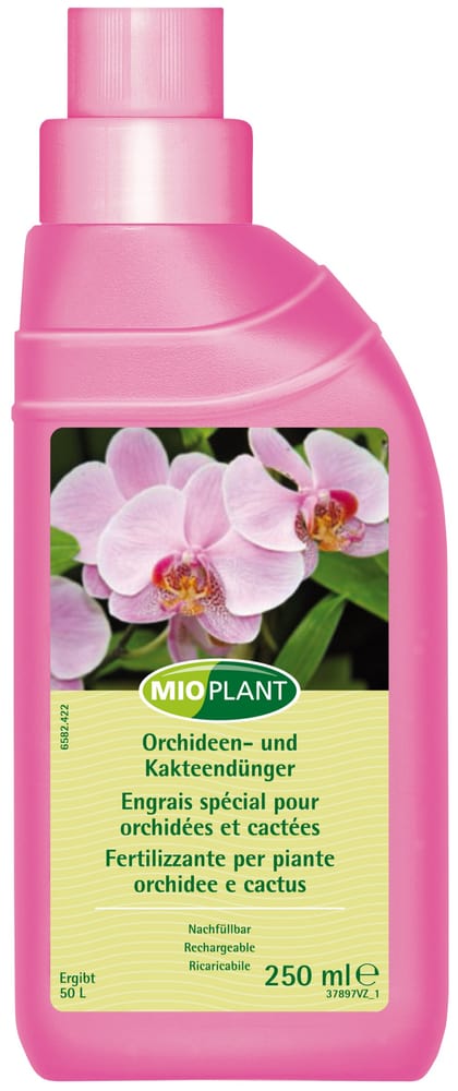 Engrais pour orchidées et cactées, 250 ml Engrais liquide Mioplant 658242200000 Photo no. 1