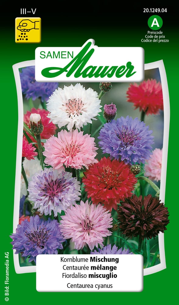 Kornblume  Mischung Blumensamen Samen Mauser 650102102000 Inhalt 1 g (ca. 100 Pflanzen oder 3 - 4 m² ) Bild Nr. 1