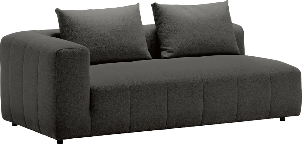 RAYAS 2.5er-Sofa 405885125284 Grösse B: 193.0 cm x T: 105.0 cm x H: 64.5 cm Farbe Anthrazit Bild Nr. 1