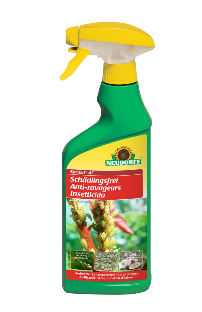 Spruzit AF Schädlingsfrei, 500 ml Insektizid Neudorff 658504700000 Bild Nr. 1