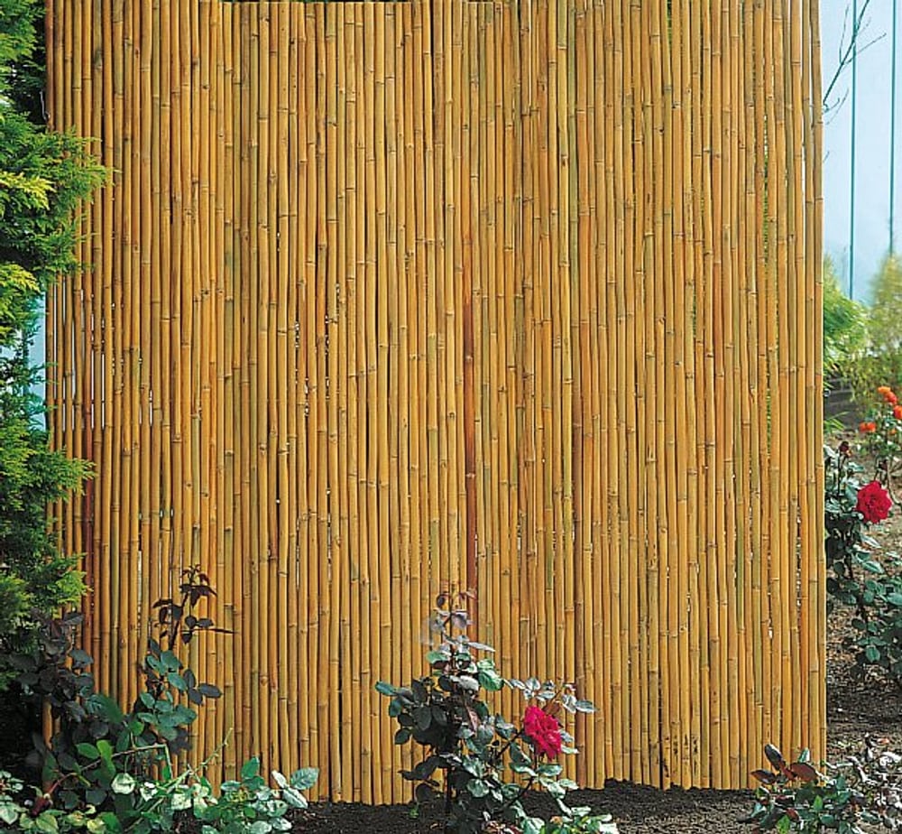 Bambus Sichtschutzmatte Sichtschutzmatte 647024100000 Farbe Naturbelassen Dimension B: 180.0 cm x H: 180.0 cm Bild Nr. 1
