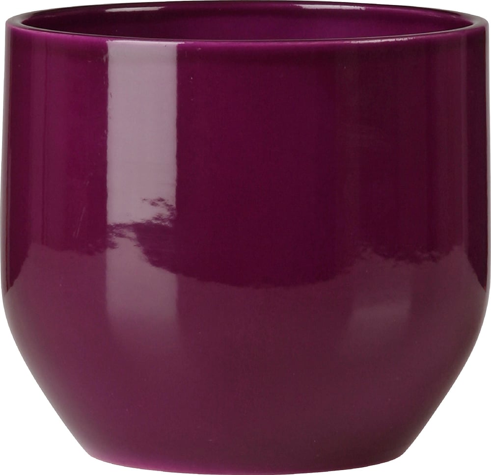 Keramik Übertopf Übertopf Scheurich 657480400000 Farbe Violett Grösse ø: 16.0 cm Bild Nr. 1