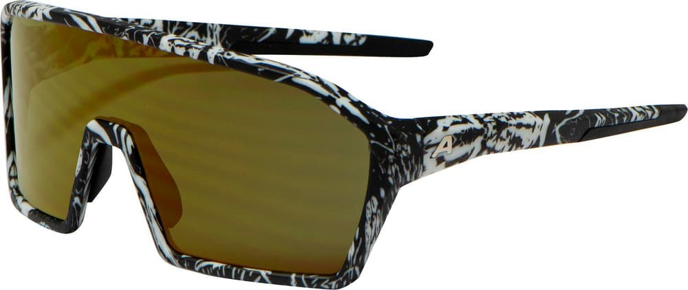 Ram Q-Lite Sportbrille Alpina 465095800021 Grösse Einheitsgrösse Farbe kohle Bild-Nr. 1