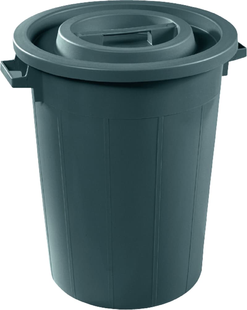 Abfallbehälter Abfalleimer 631107400000 Grösse Liter 100.0 x B: 54.0 m x H: 64.0 cm Farbe Grün Bild Nr. 1