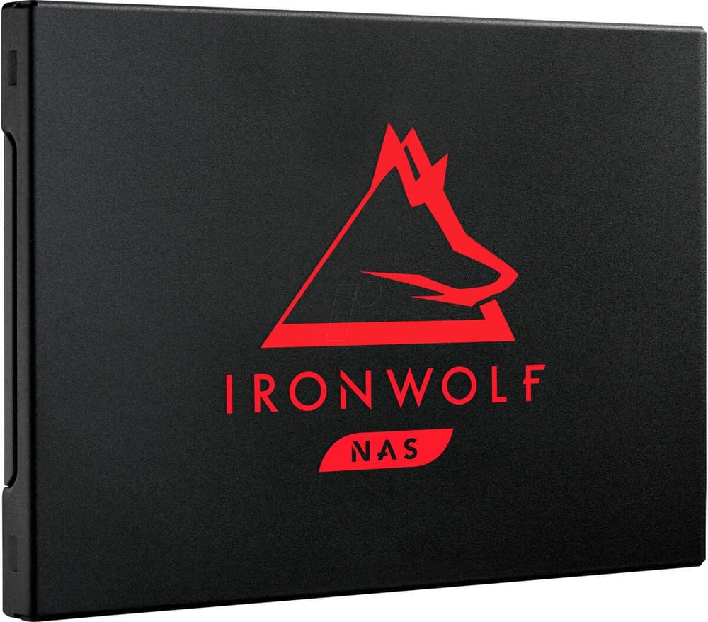 IronWolf 125 250 GB Interne SSD Seagate 785302409541 Bild Nr. 1