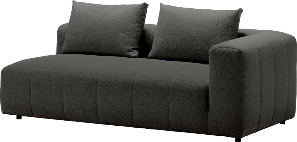 RAYAS 2.5er-Sofa 405885125184 Grösse B: 193.0 cm x T: 105.0 cm x H: 64.5 cm Farbe Anthrazit Bild Nr. 1