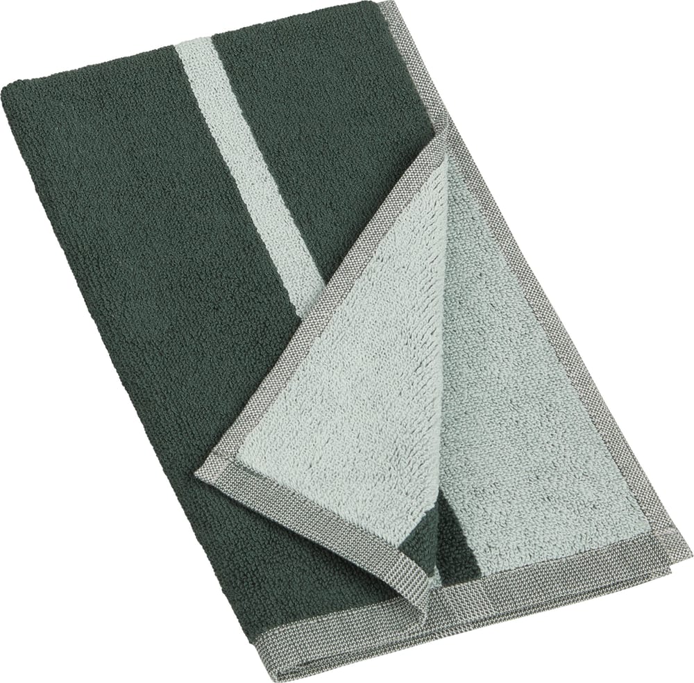 ALMIRA Gästetuch ALMIRA Gästetuch 450938120263 Farbe Jungle Green Grösse Gästetuch - 30 x 50 cm Bild Nr. 1