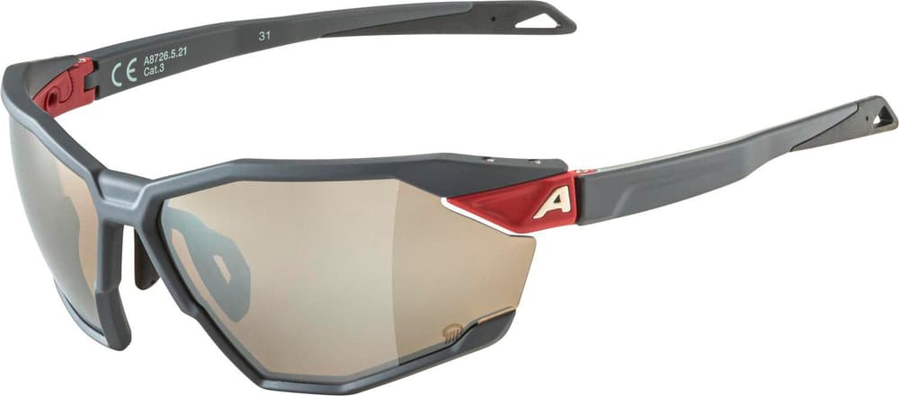 TWIST SIX Q Sportbrille Alpina 468821500080 Grösse Einheitsgrösse Farbe grau Bild-Nr. 1
