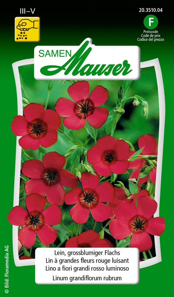Lino a fiori grandi rosso luminoso Sementi di fiori Samen Mauser 650104901000 Contenuto 2.5 g (ca. 70 piante o 5 - 7 m²) N. figura 1