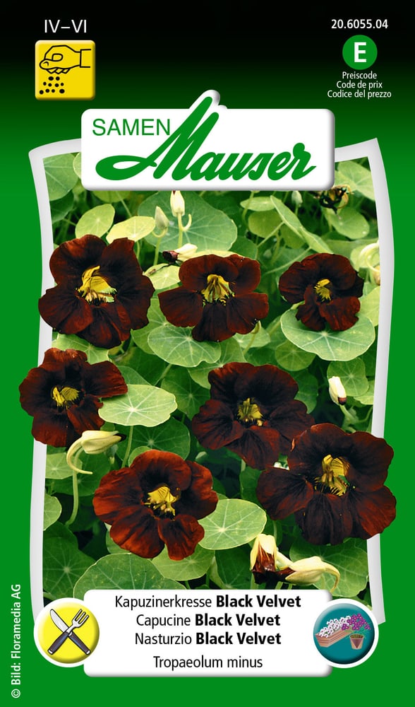 Capucine Black Velvet Semences de fleurs Samen Mauser 650107802000 Contenu 5 g (env. 25 plantes ou 3 m²) Photo no. 1