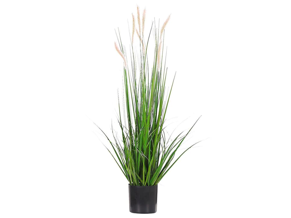 Reed Plant Kunstpflanze Beliani 656827300000 Bild Nr. 1